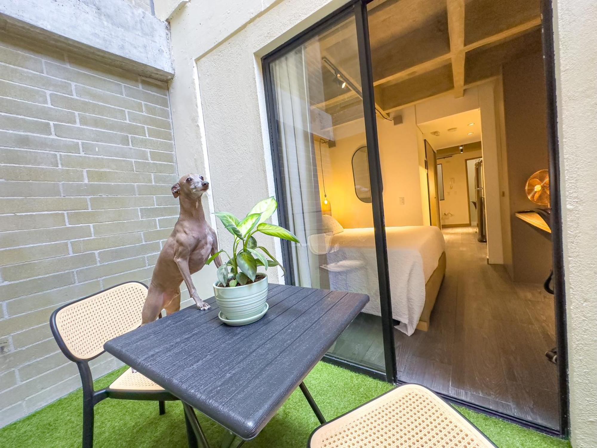 Ferienwohnung B 48 Living By B Rent Medellín Exterior foto